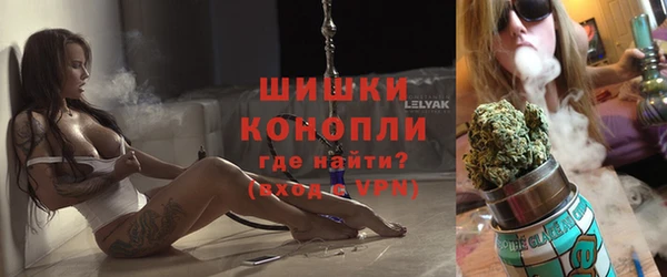 гидра Михайловск