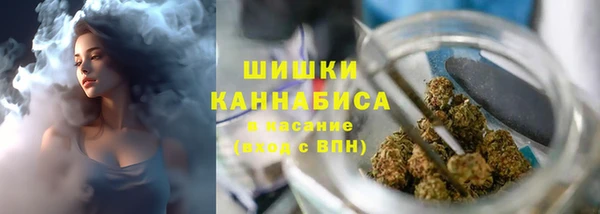 ешки Медногорск