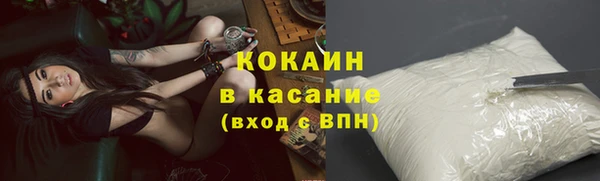 гидра Михайловск