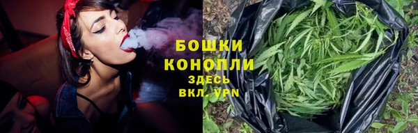 гашик Михайловка