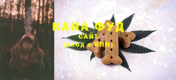 ешки Медногорск