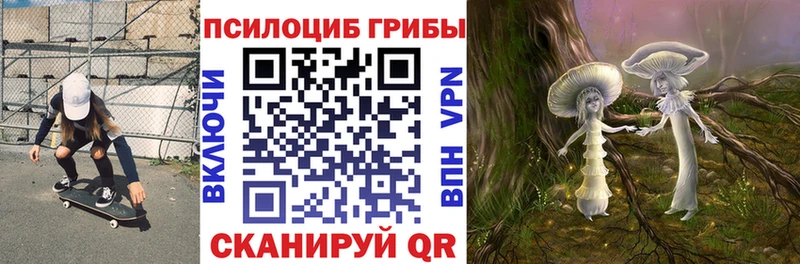 Псилоцибиновые грибы GOLDEN TEACHER  Ишим 
