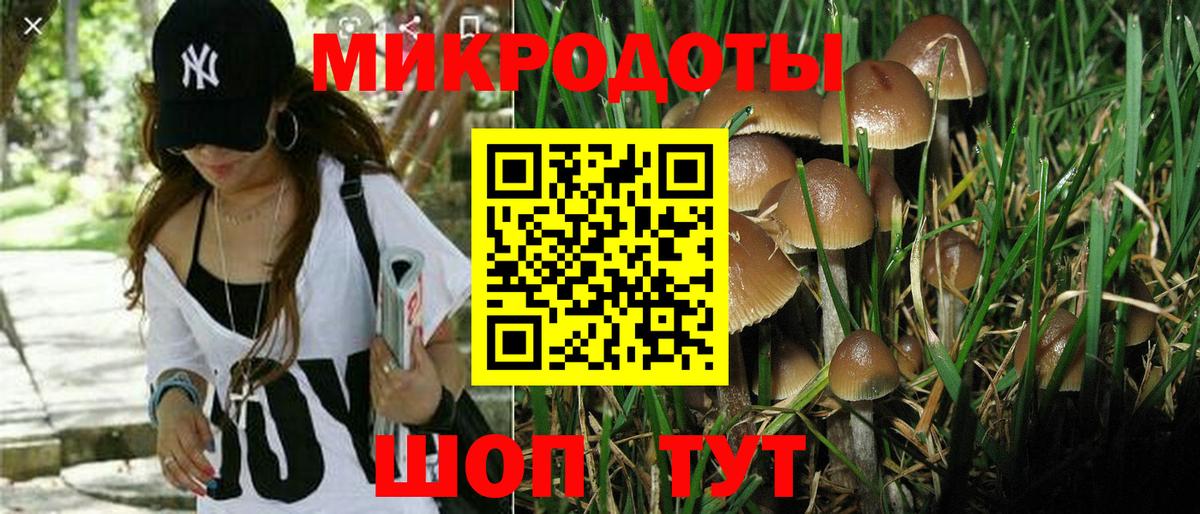 Галлюциногенные грибы Magic Shrooms  Галлюциногенные грибы мухоморы  Ишим  Вход с VPN 