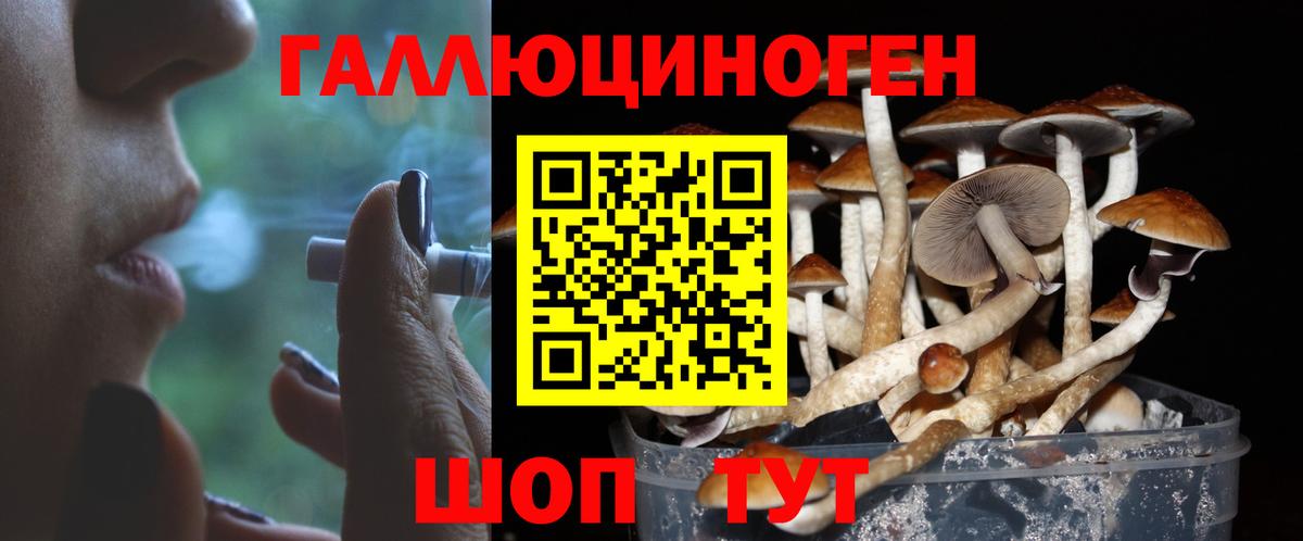 Галлюциногенные грибы GOLDEN TEACHER Ишим